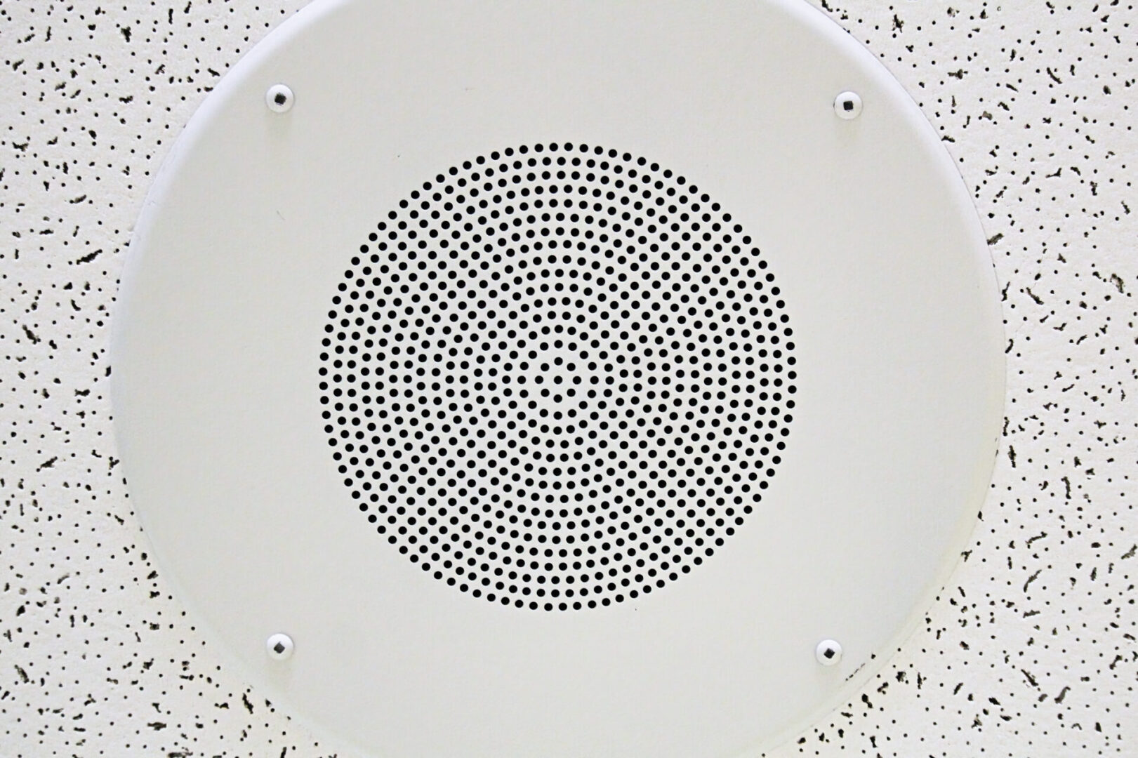 Deckenlautsprecher einer elektroakustischen Anlage in einer Rasterdecke